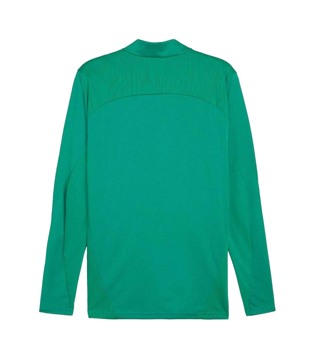 Veste Entraînement Teamfinal Homme Vert Puma-3