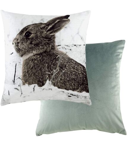 Evans Lichfield Photo Hare Cushion Cover (White/Brown/Powder Blue) (One Size)