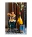 Bouteille & Bouchon Tâche Déco 35cm Naturel-4