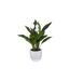 Plante Artificielle Lys de la Paix 54cm Vert & Blanc-1
