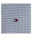 Chemissette Bleu Homme Tommy Hilfiger Flex Gingham - M