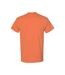T-shirt Manches Courtes Homme Coucher De Soleil Gildan-2