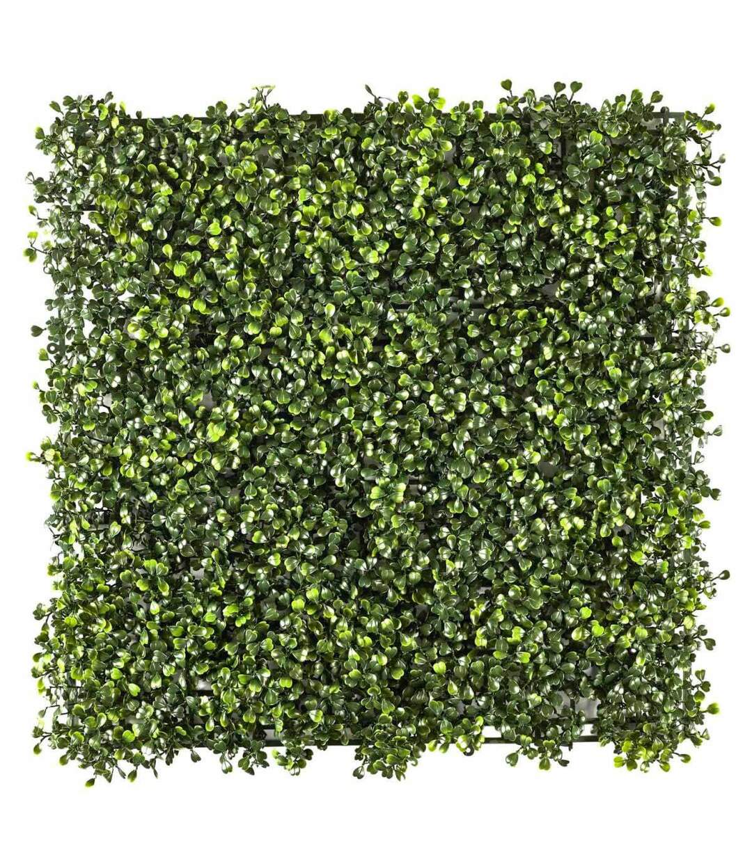 Mur Végétal Artificiel Feuillage 50x50cm Vert-1