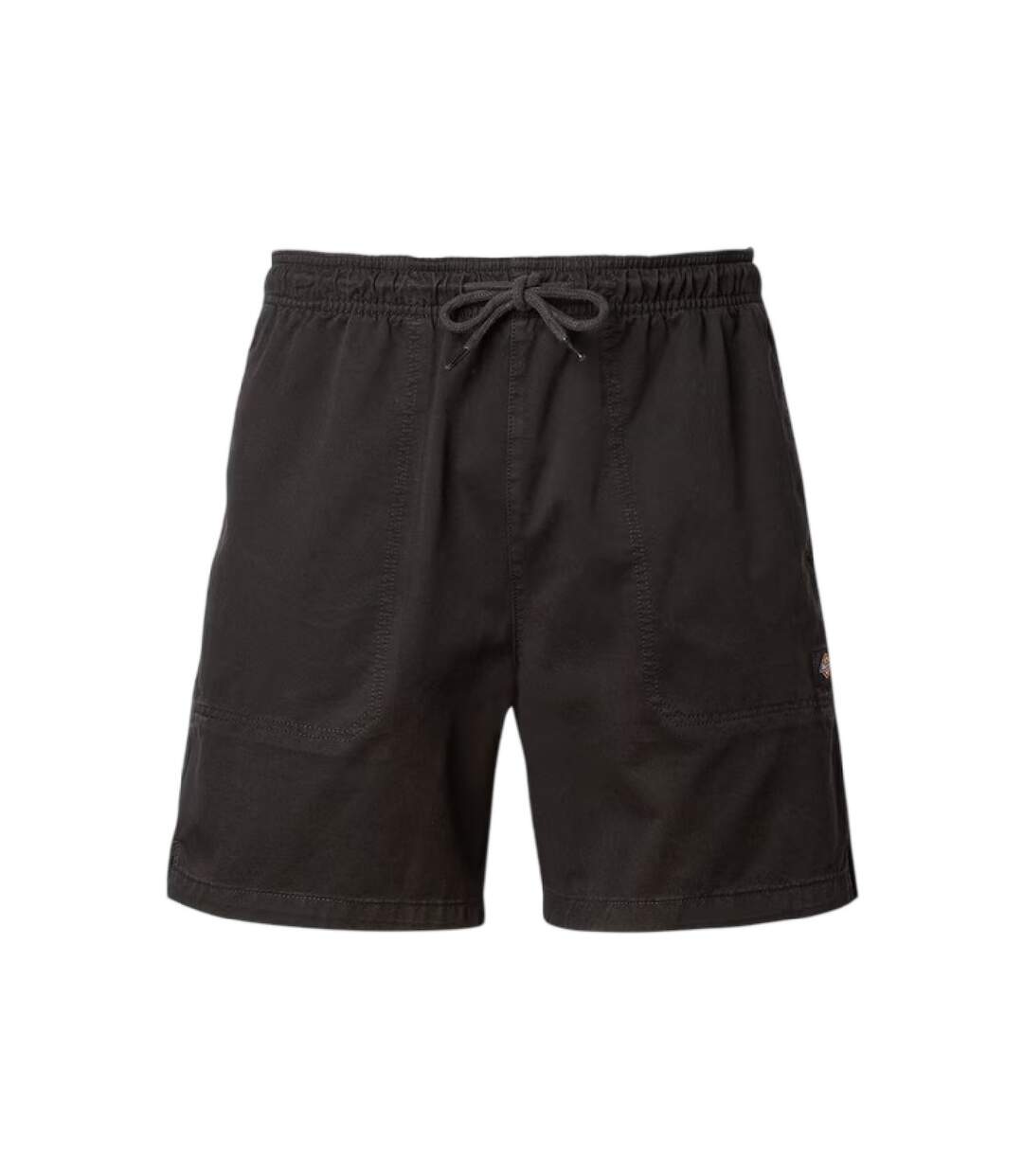Short De Jogging Pelican Homme Noir Dickies-1