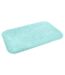 Tapis de Bain Microfibre Mellow 50x80cm Vert Menthe-1
