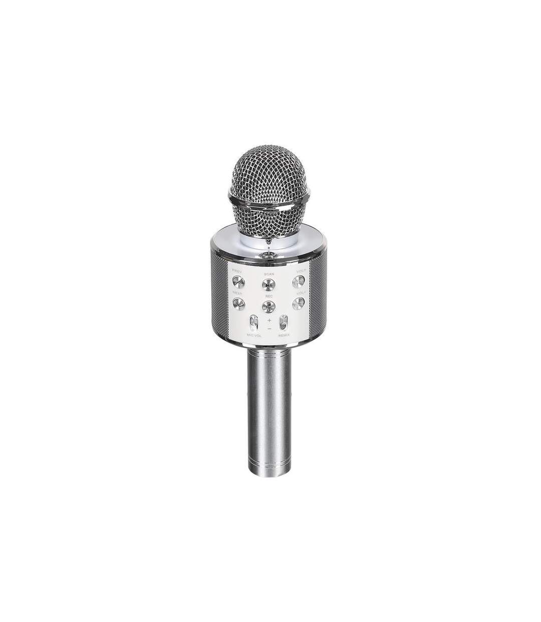 Enceinte Micro Karaoké 23cm Argent-1
