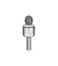 Enceinte Micro Karaoké 23cm Argent-1