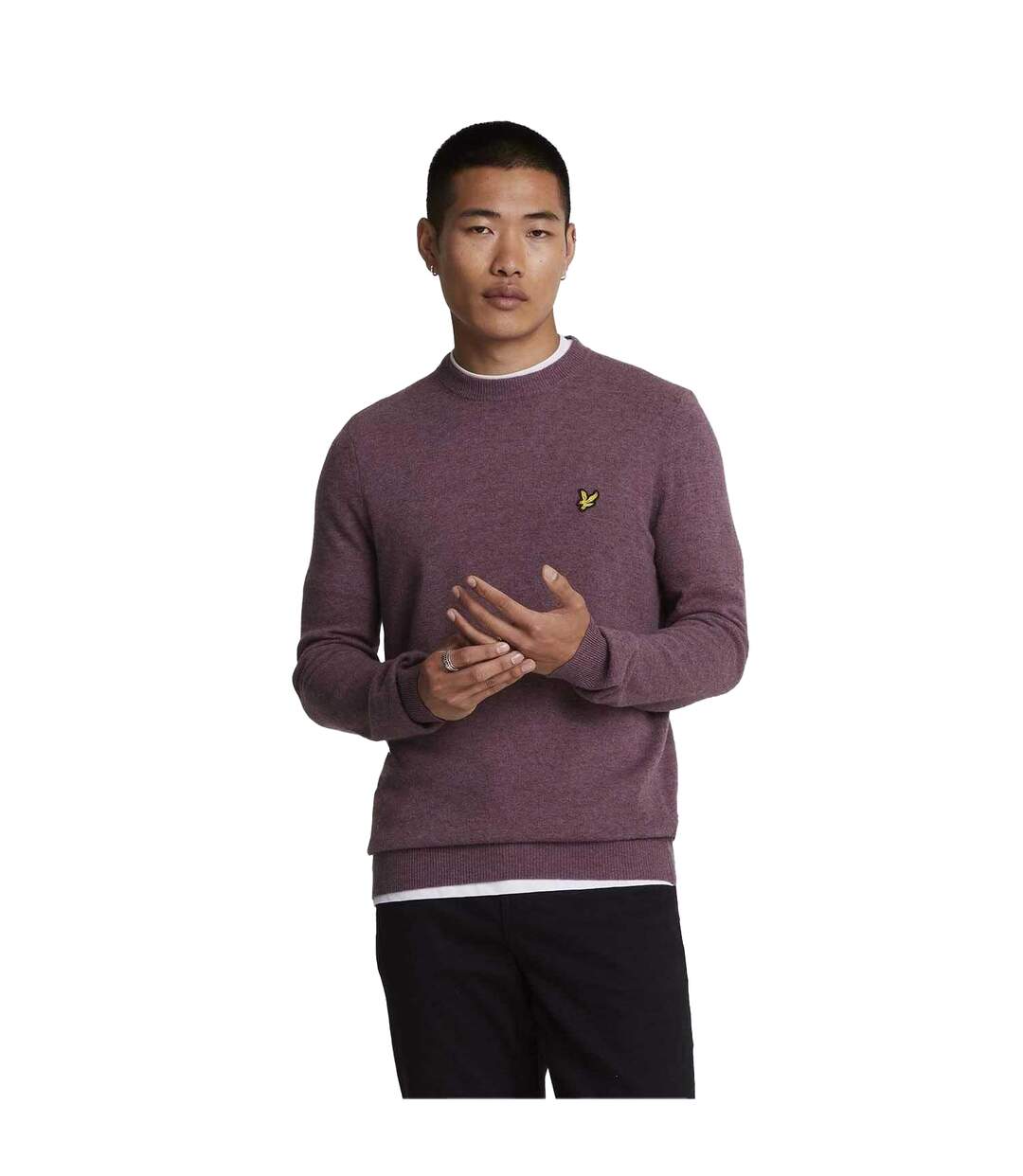 Pull Homme Violet Lyle & Scott-1
