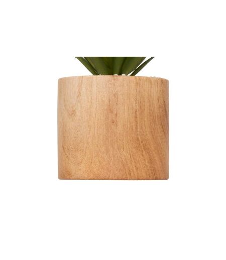 Plante Artificielle en Pot Sao 17cm Marron