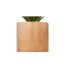 Plante Artificielle en Pot Sao 17cm Marron-3