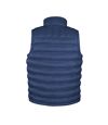 Result Mens Ice Bird Padded Bodywarmer / Gilet Jacket (Navy Blue)