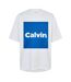 T-shirt Manches Courtes Motif/style Logo Rectangulaire Homme Blanc Calvin Klein-1