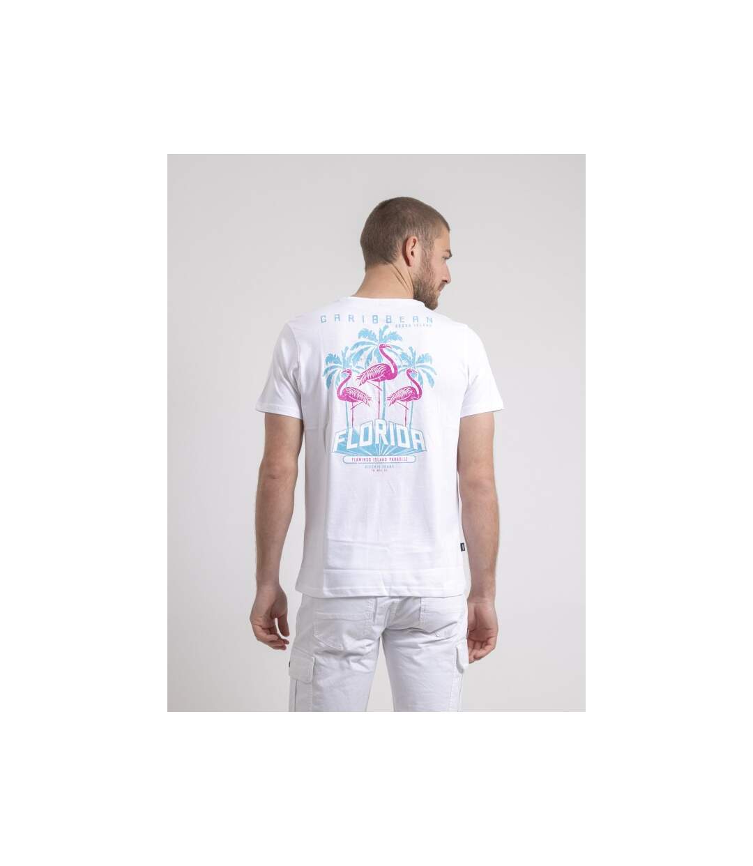 T-shirt col rond pur coton NARUBA-2