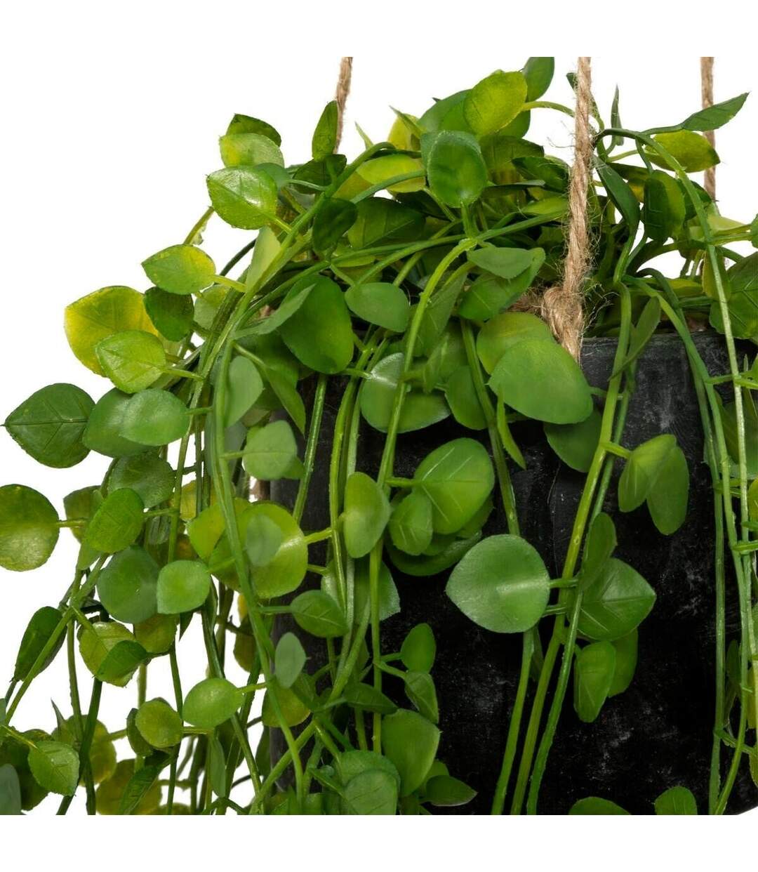 Plante Artificielle à Suspendre Living 62cm Vert-2