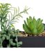 Plante Artificielle à Suspendre Imy 41cm Noir-3