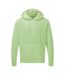 Sweatshirt Homme Vert Pastel SG-2