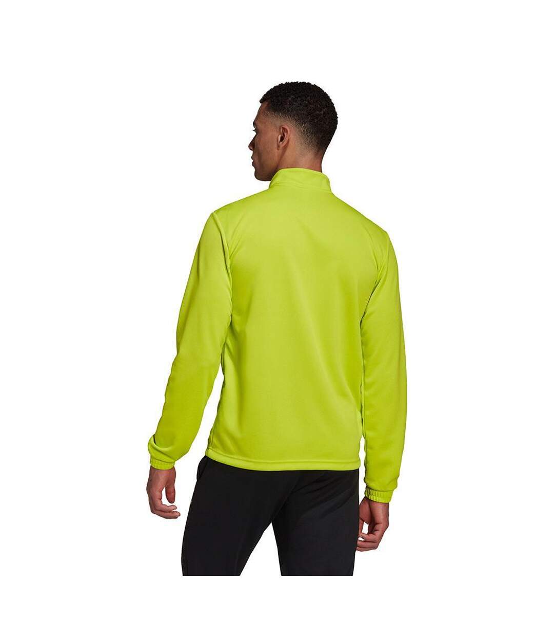 Sweat Entrada Homme Vert Adidas-3