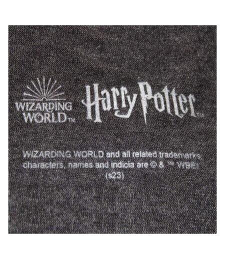 T-shirt Motif/style Emblèmes Des Maisons Hogwarts Homme Anthracite Harry Potter