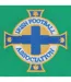 T-shirt Motif/style Rétro Homme Vert Northern Ireland FA-3