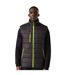 Veste Sans Manches Navigate Homme Noir Vert Citron Regatta-3