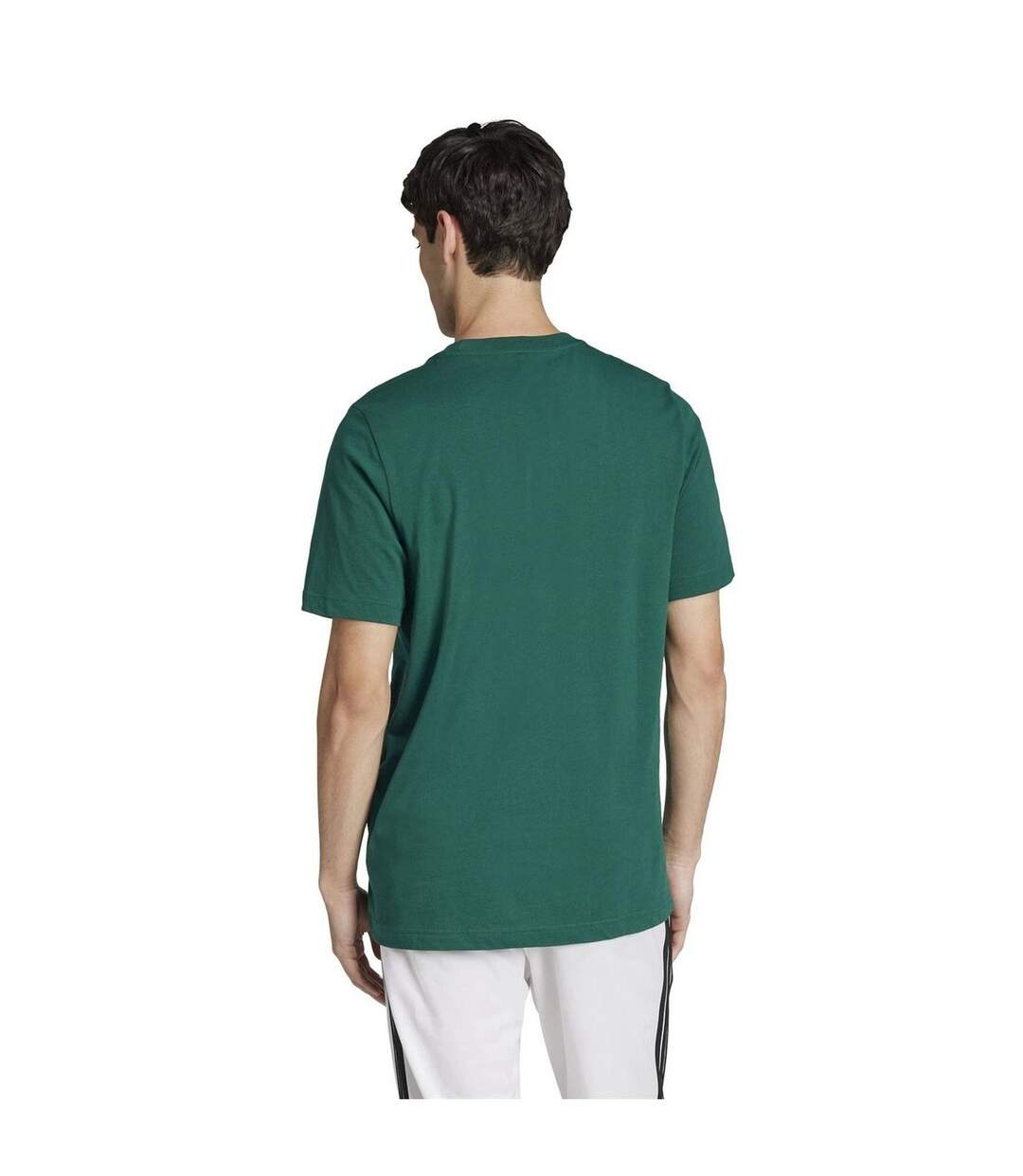T-shirt Motif/style Imprimé Graphique Homme Vert Adidas-3