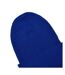 Bonnet Bleu Roi Flexfit-2