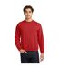 Sweat Adulte Rouge Gildan-1