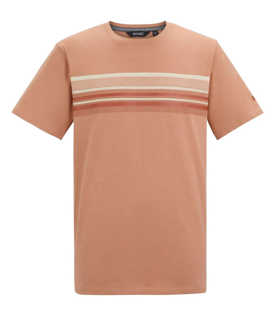 T-shirt Rendro Homme Argile Italienne Regatta-1