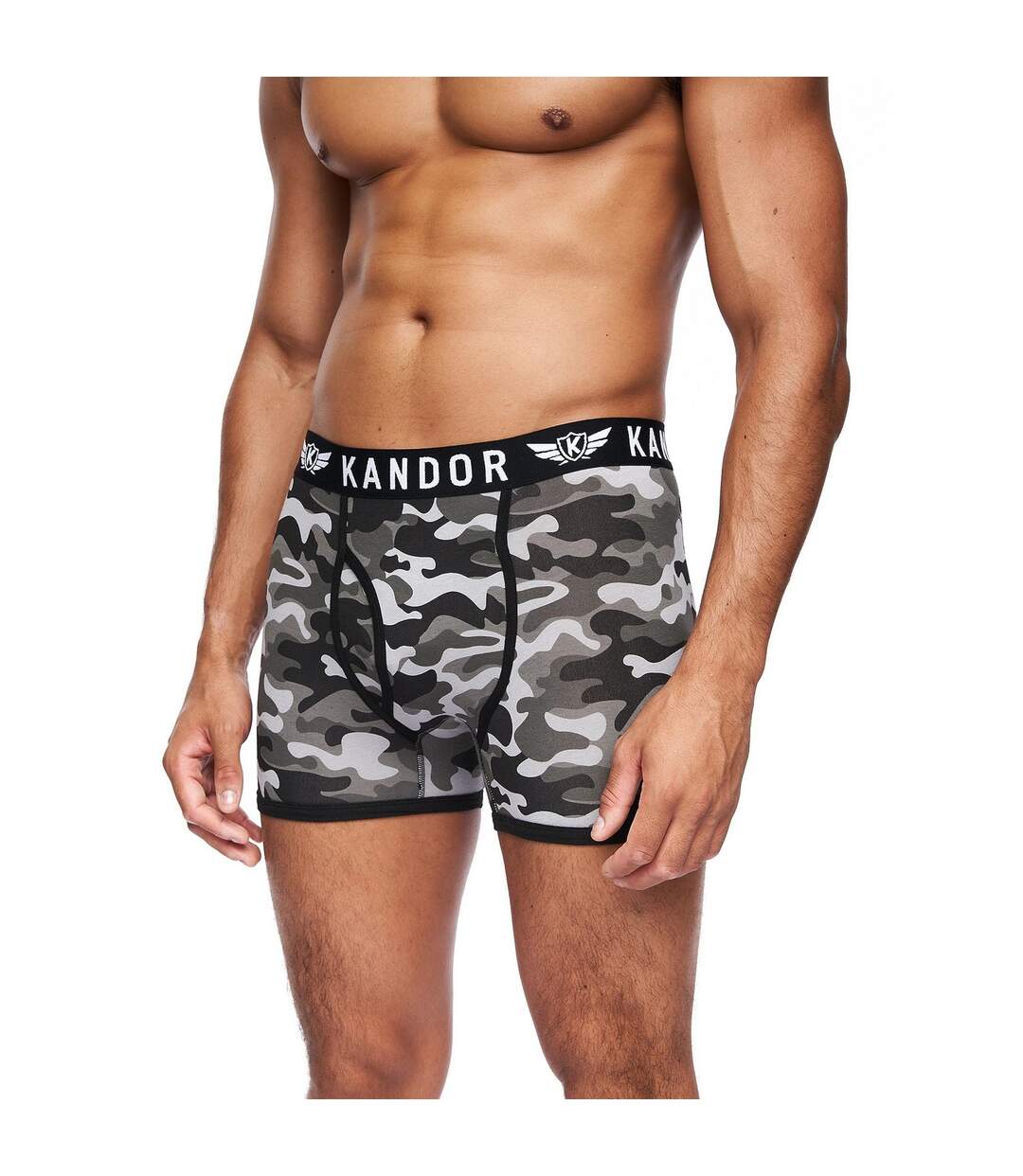 Pack of 5  Mens camobee bamboo boxer shorts  gray Kandor