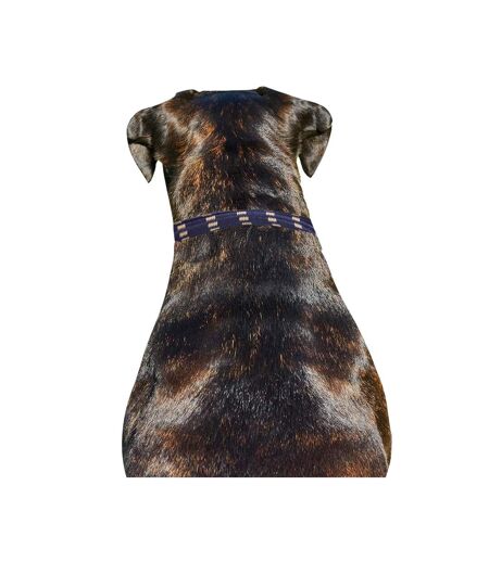 Laisse chien xl marine/marron Weatherbeeta