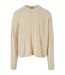 Sweat Homme Sable Urban Classics-1