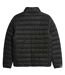 Doudoune Motif/style Matelassé Joel Homme Conifère Farah-3