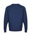 Pull Homme Bleu Denim CastlePoint-4