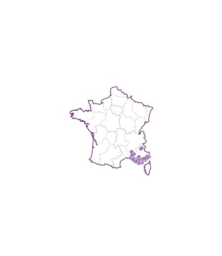 SMARTBOX - Bien-être en duo en Provence - Coffret Cadeau Bien-être