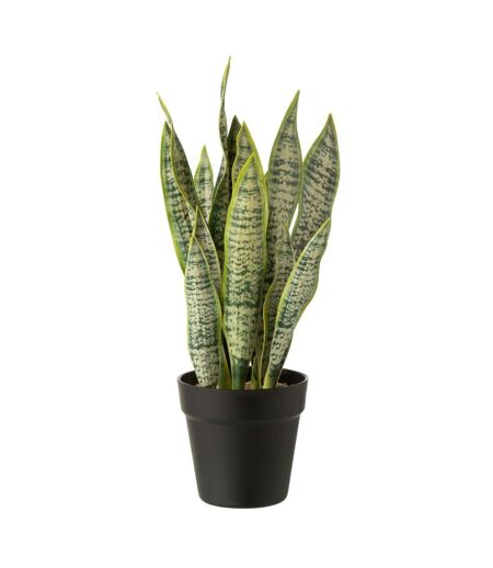 Plante Artificielle en Pot Dracaena Trifasciata 47cm Vert