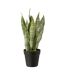 Plante Artificielle en Pot Dracaena Trifasciata 47cm Vert-1