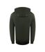 Sweat À Capuche Motif Logo Bloc Homme Vert Ice Iceberg-2