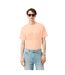 T-shirt Motif/style Logo Homme Rose Lacoste-4