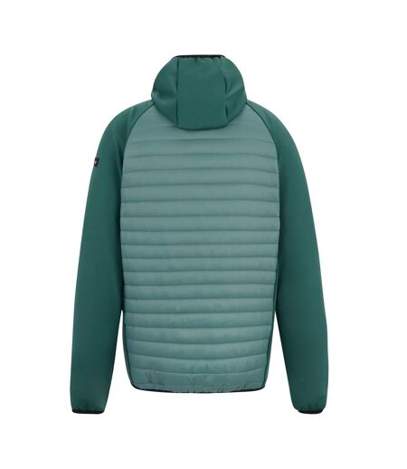 Veste Hybride Andreson Homme Bleu Clair Vert Sarcelle Regatta