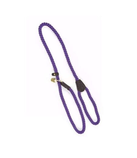 Rope leather dog slip lead one size purple Digby & Fox