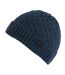 Mens Harrell Beanie Navy Blue Regatta-1