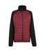 Veste Hybride Clumber Homme Pourpre Foncé Noir Regatta-2