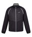 Regatta Mens Steren II Softshell Hybrid Jacket (Ash/Black/Agave Green)