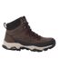 Bottines De Marche Blake Femme Châtaigne Rouge Sombre Regatta-4