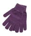 Gants thermiques thinsulate 3m 40g femme pourpre Floso-2