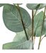 Tige Artificielle Eucalyptus 92cm Vert-2