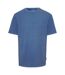 T-shirt Amber Homme Bleu Denim Threadbare-1