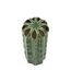 Vase en Céramique Cactus 23cm Vert-2