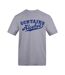 Unisex Adult Contains Alcohol T-shirt Grey AWD-1