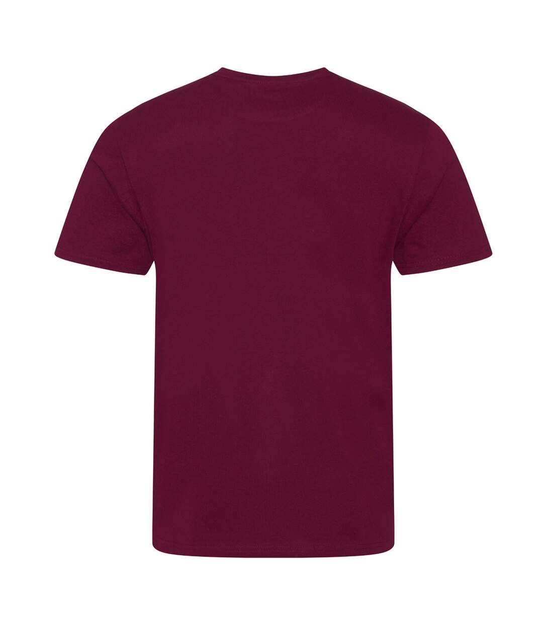 T-shirt Cascades Adulte Bordeaux Ecologie-2